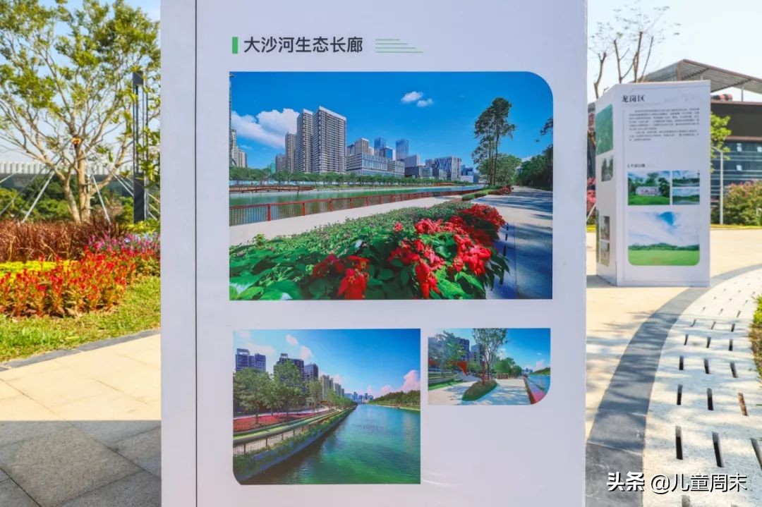 深圳中心公园足球场,深圳中心公园大草坪