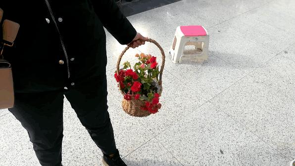 郑州三大花卉市场都是哪个,郑州哪个花卉市场最全