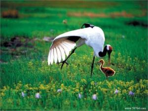 黑龙江省绥化市属于哪里,黑龙江省绥化市疫情