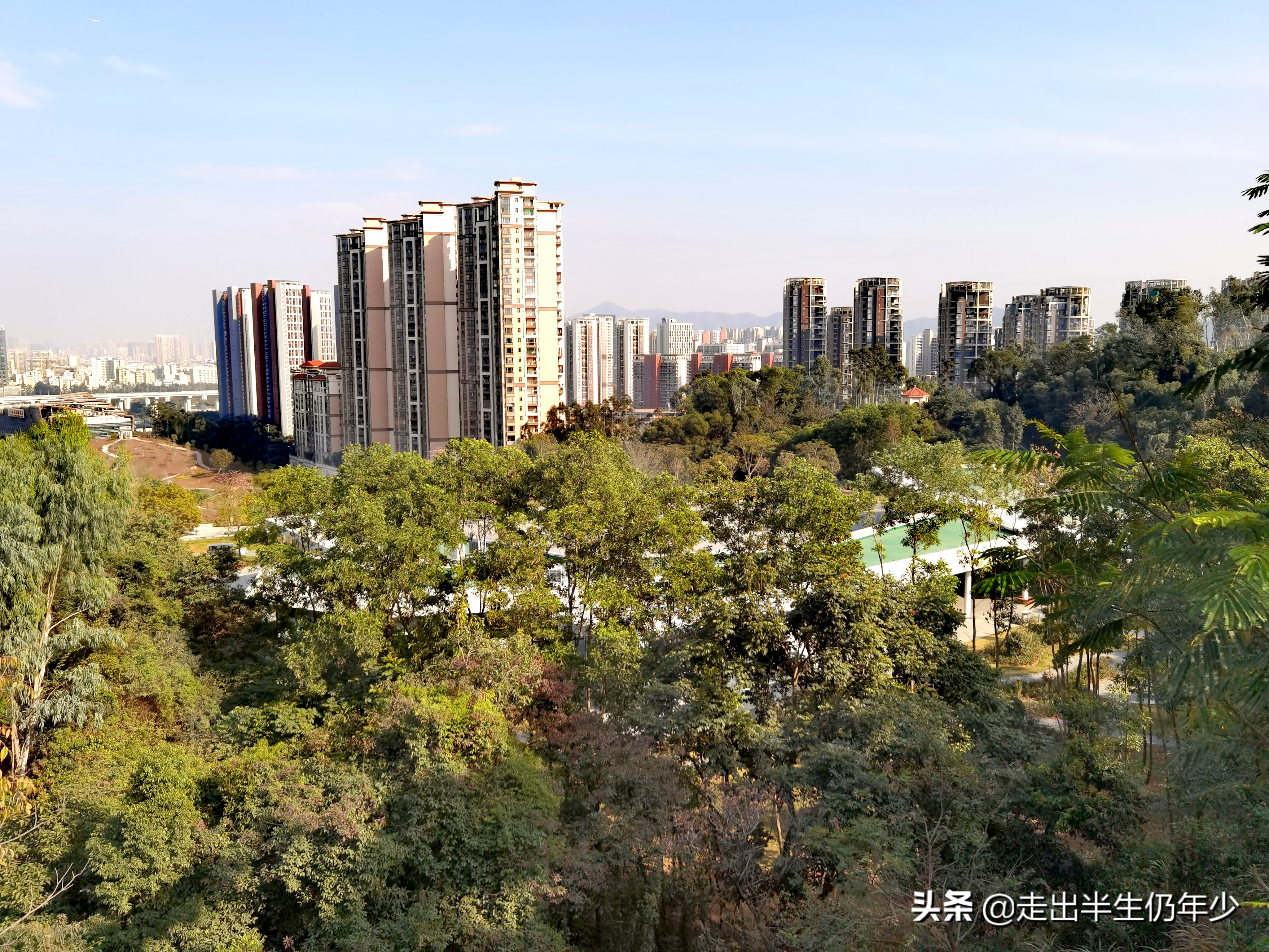 深圳有多少个公园景点,深圳室内足球场