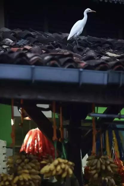 假期撒手没的戏精同事们,竟然在我挤春运的时候吹海风??(下)