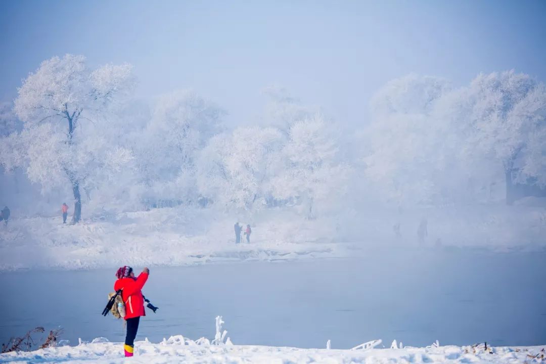 最好看的雾凇,为什么吉林的雾凇最知名