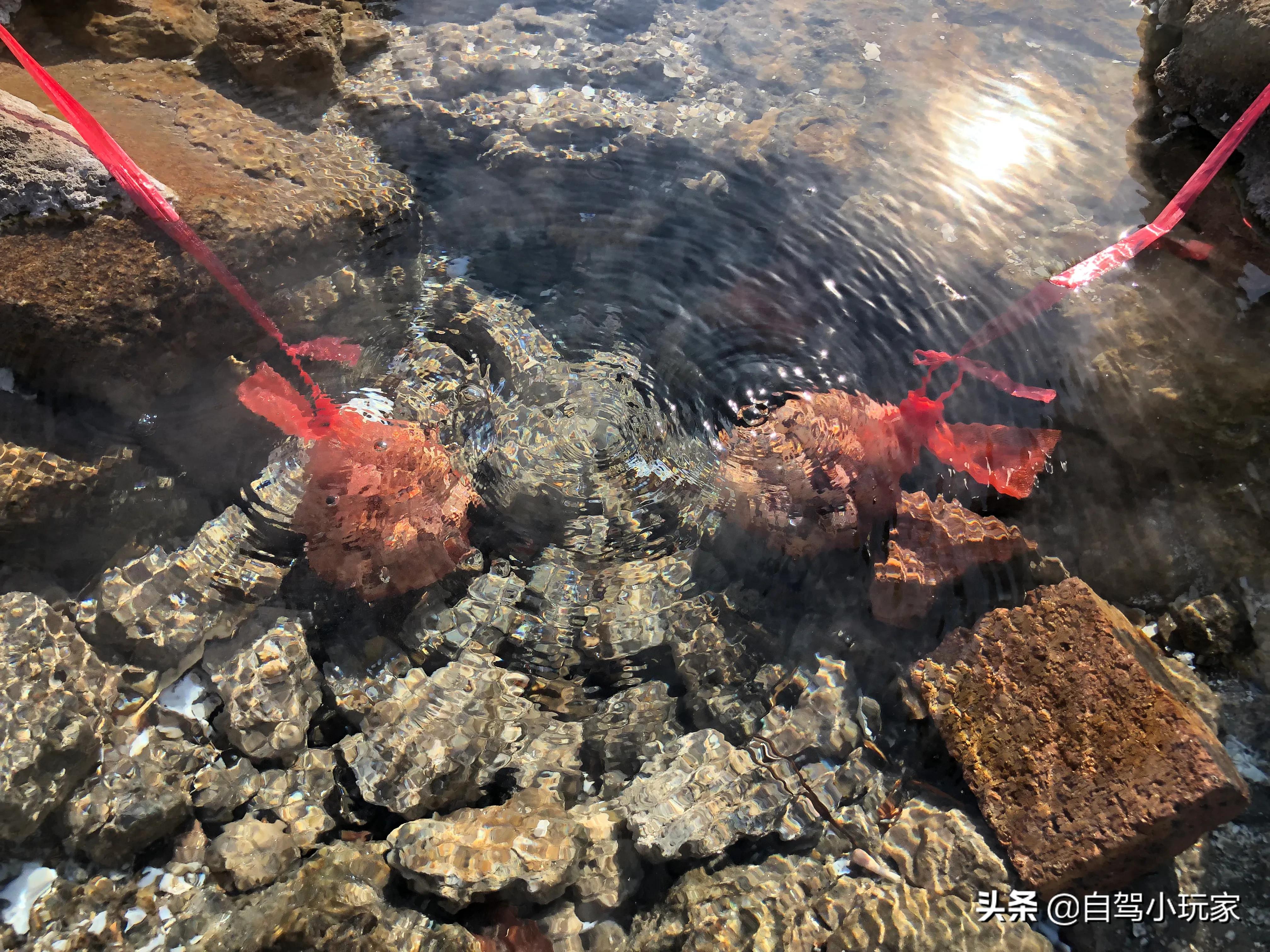 温泉的秘密基地,藏在深山的温泉