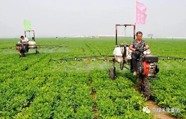 除草剂最佳解除药害时间,棉花除草剂残留药害了怎么补救