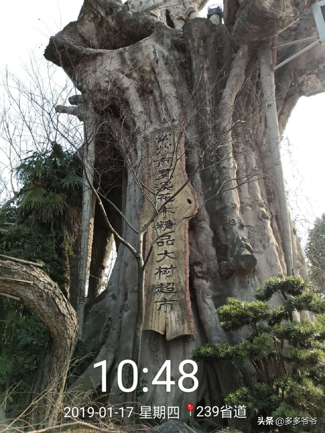 武进嘉泽夏溪小学,江苏省常州市武进区夏溪小学