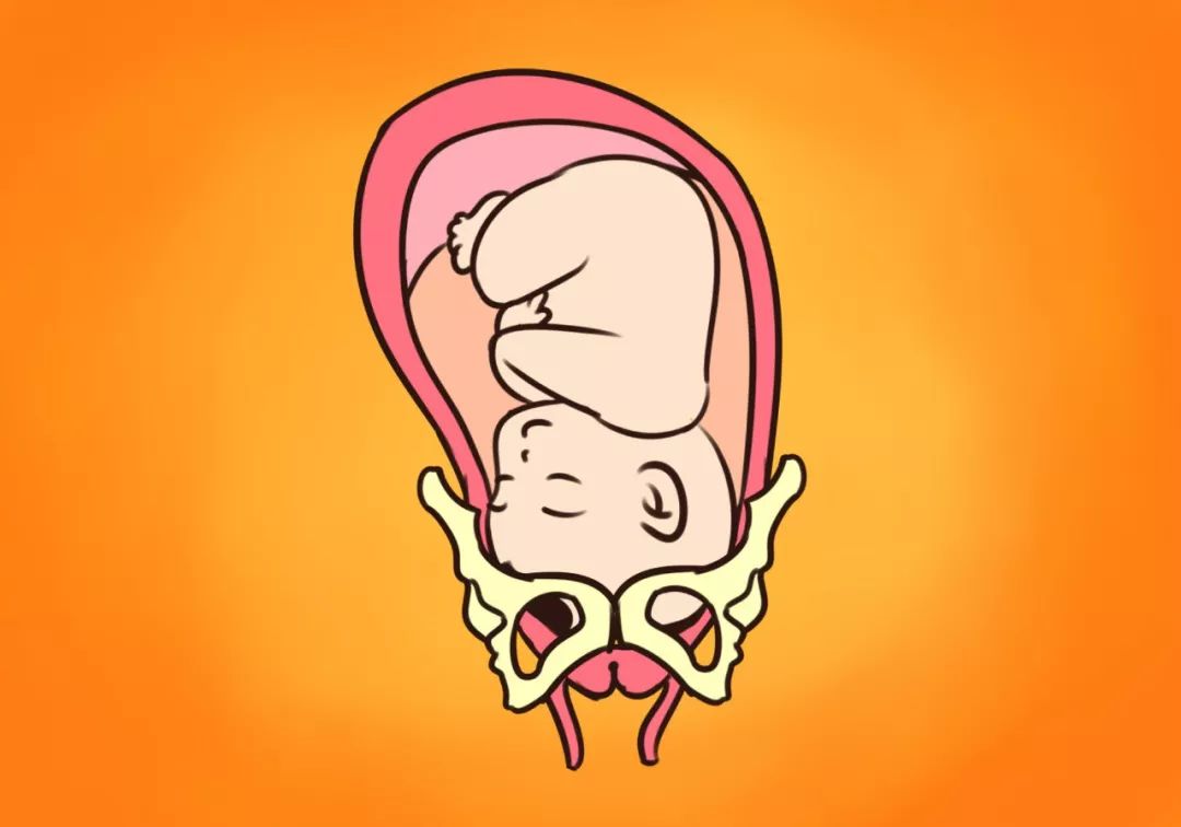 胎动位置和胎位有关系吗,胎动多数在左边有什么说法