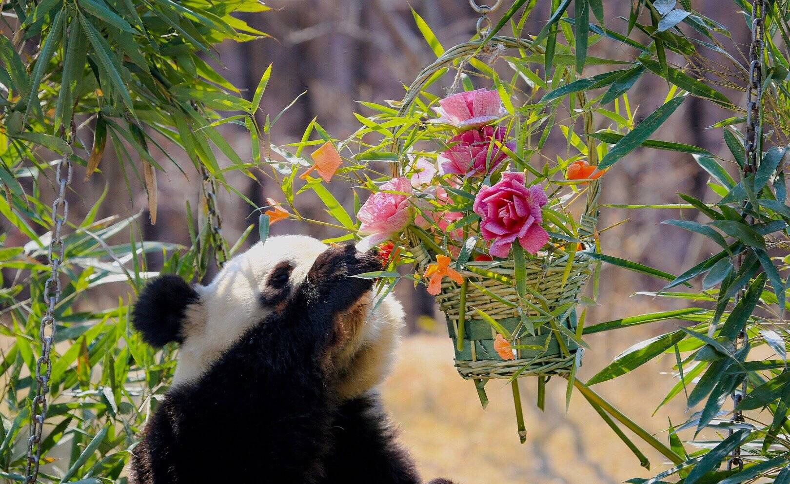 五一小长假休息就要尽情玩耍,五一小长假结束开启上班之旅