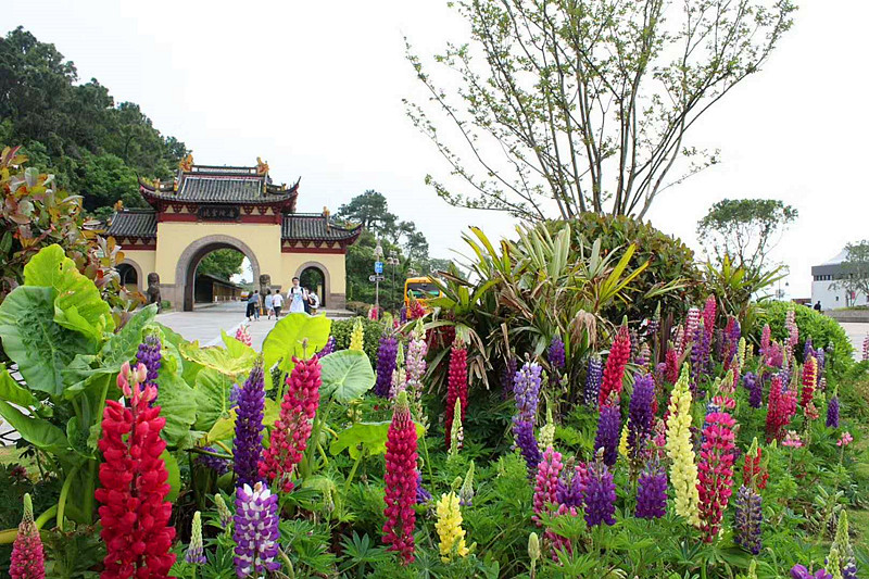 <html>
<head><title>502BadGateway</title></head>
<body>
<center><h1>502BadGateway</h1></center>
<hr><center>nginx</center>
</body>
</html>
<!--apaddingtodisableMSIEandChromefriendlyerrorpage-->
<!--apaddingtodisableMSIEandChromefriendlyerrorpage-->
<!--apaddingtodisableMSIEandChromefriendlyerrorpage-->
<!--apaddingtodisableMSIEandChromefriendlyerrorpage-->
<!--apaddingtodisableMSIEandChromefriendlyerrorpage-->
<!--apaddingtodisableMSIEandChromefriendlyerrorpage-->
