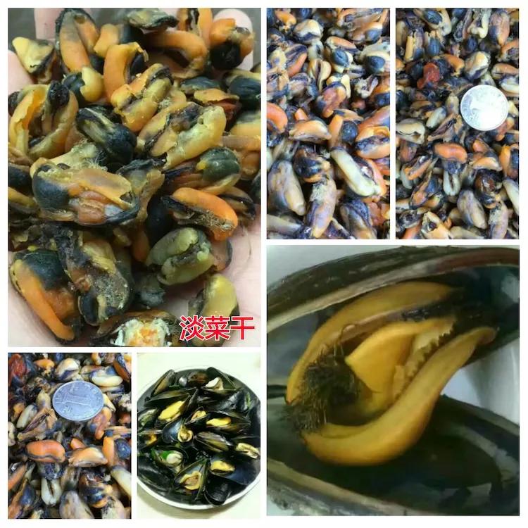 海陵岛闸坡渔港,海陵岛闸坡世界级渔港码头