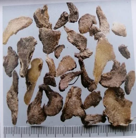 收敛止血的中成药有哪些,止血收敛的药有哪些