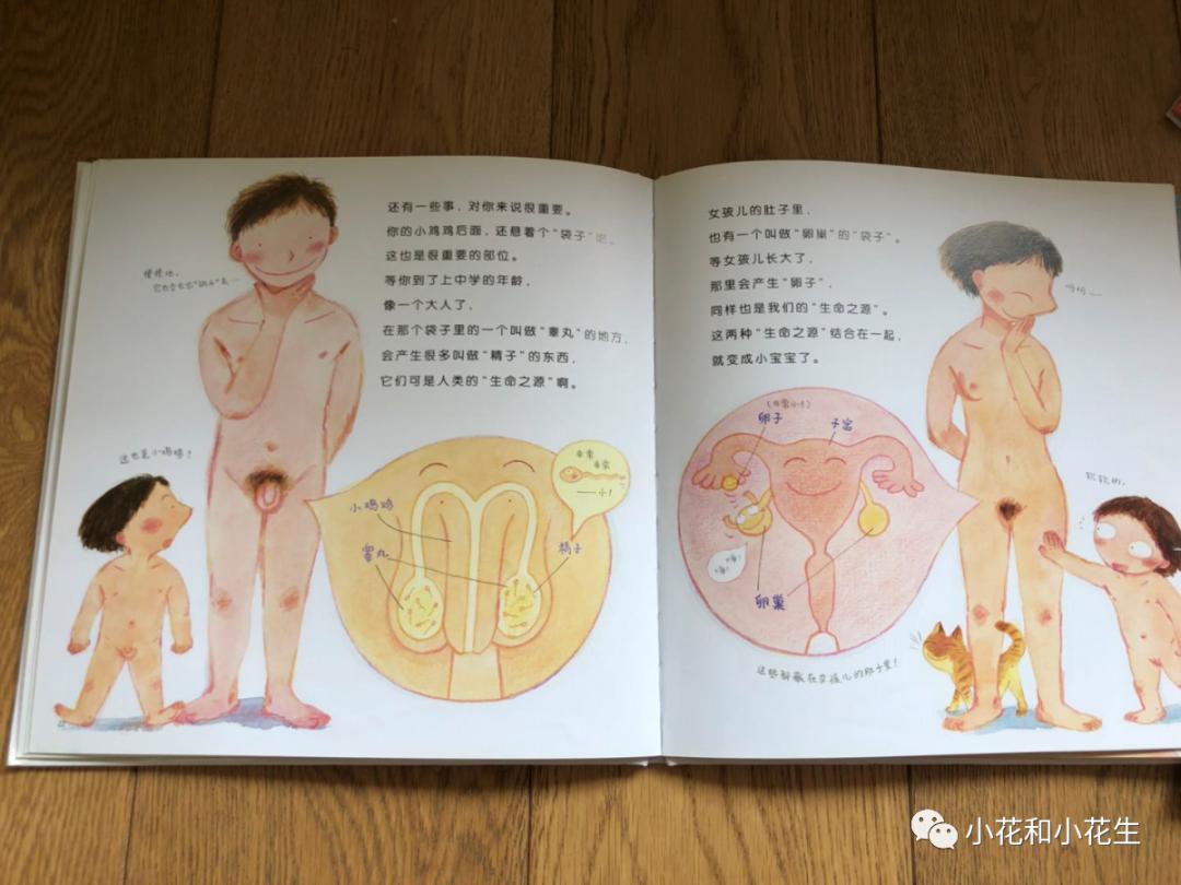 小朋友性启蒙教育,儿童启蒙性早教