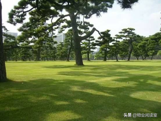 小区绿化养护一般做哪些工作,小区绿化养护需要什么资质