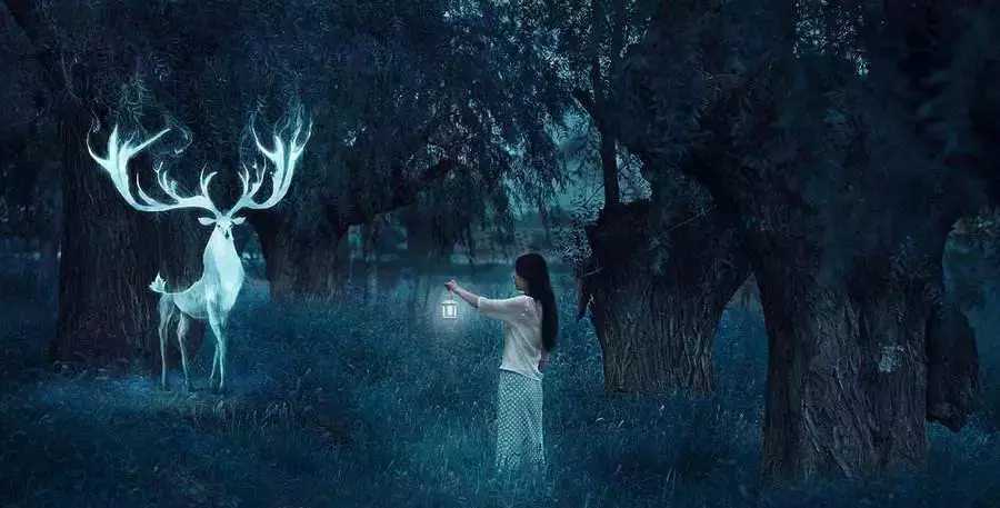 科学家梦境都是真实的,科学家提出梦境是真实的