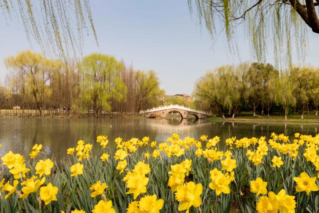 杭州美职学校风景,杭州美丽学校评选