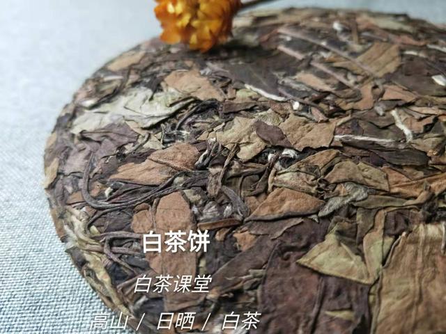 收藏白茶茶饼和散茶哪个更好,白茶散茶储存方法视频