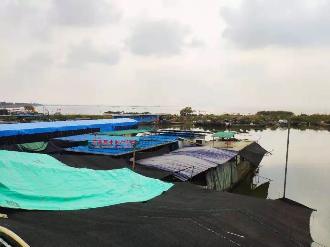 出自*楼青**的“秃黄油”死前必食，今首推无锡，错过就要等上一年