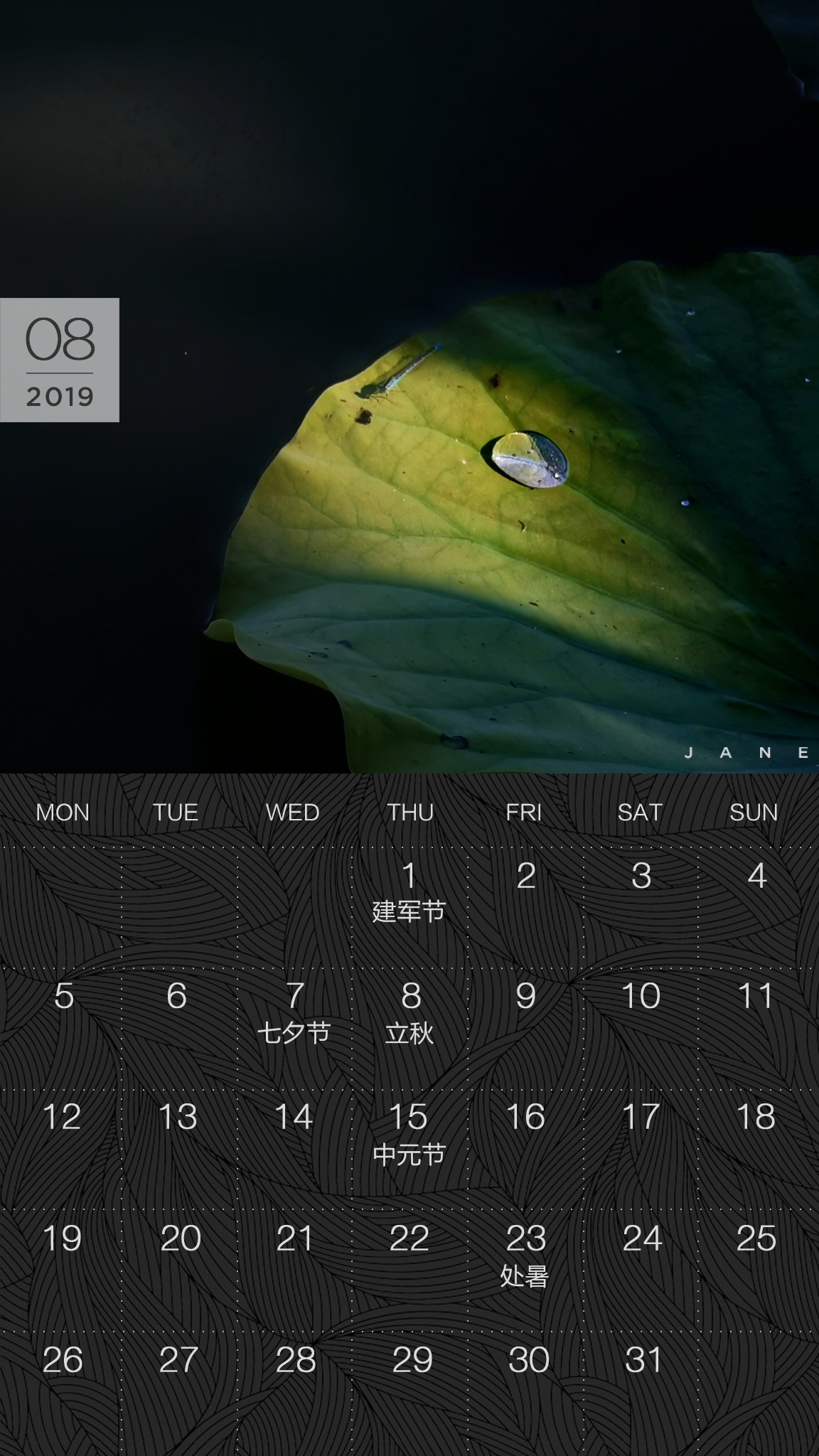送你一张凉快动态壁纸,大暑送你清凉壁纸