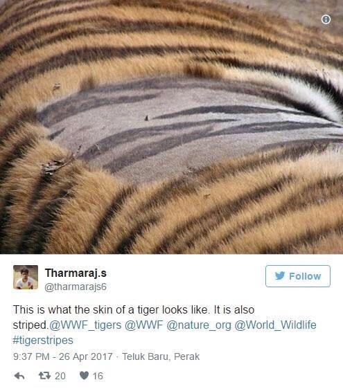 10个让人震惊的冷知识,最有趣的10条冷知识点