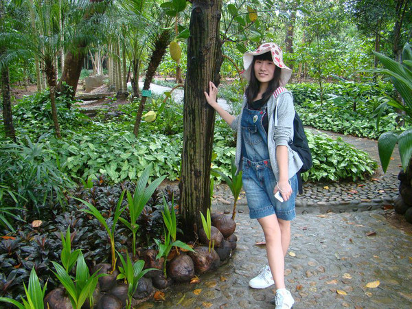 西安到三亚旅游攻略自由行费用,海南旅游攻略自由行三亚最佳路线