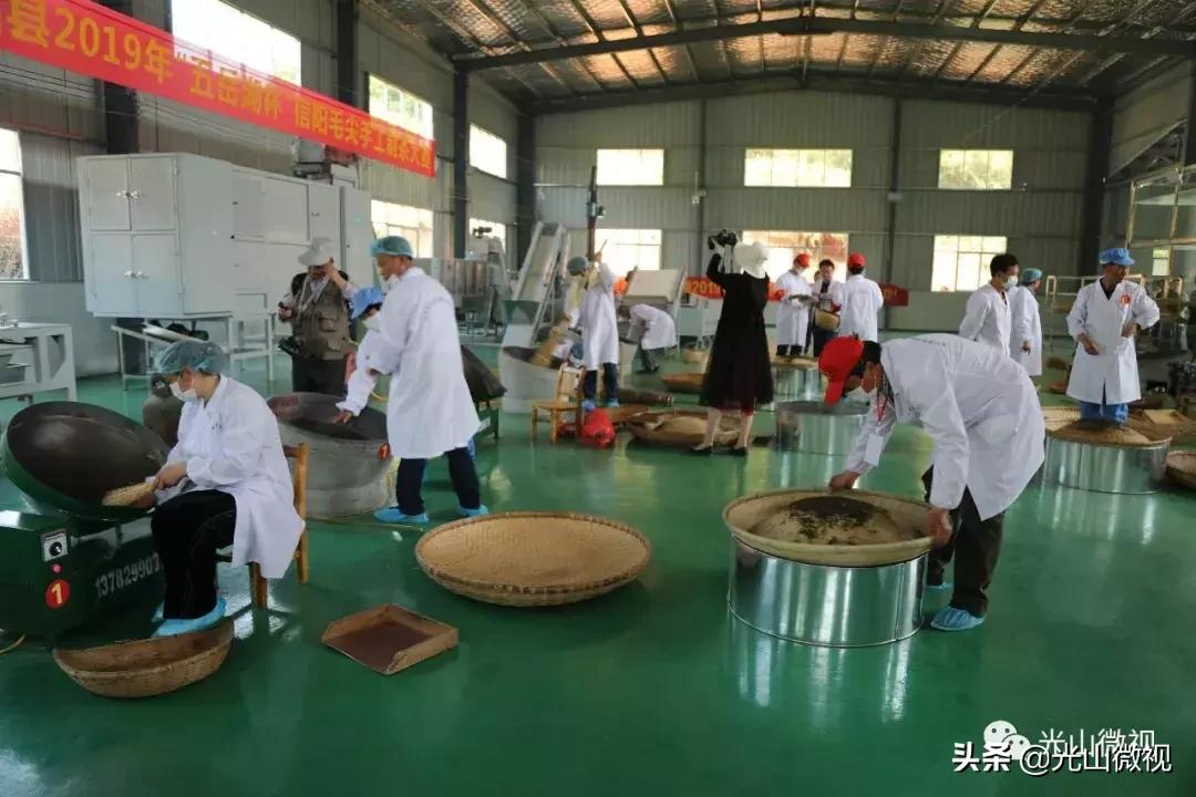 光山斗茶大赛完整版,信阳斗茶大赛获奖