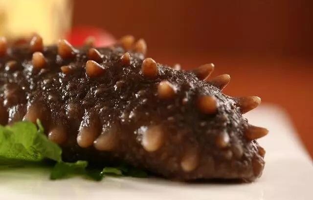 便宜海参为什么不能买 (买海参要注意哪些)