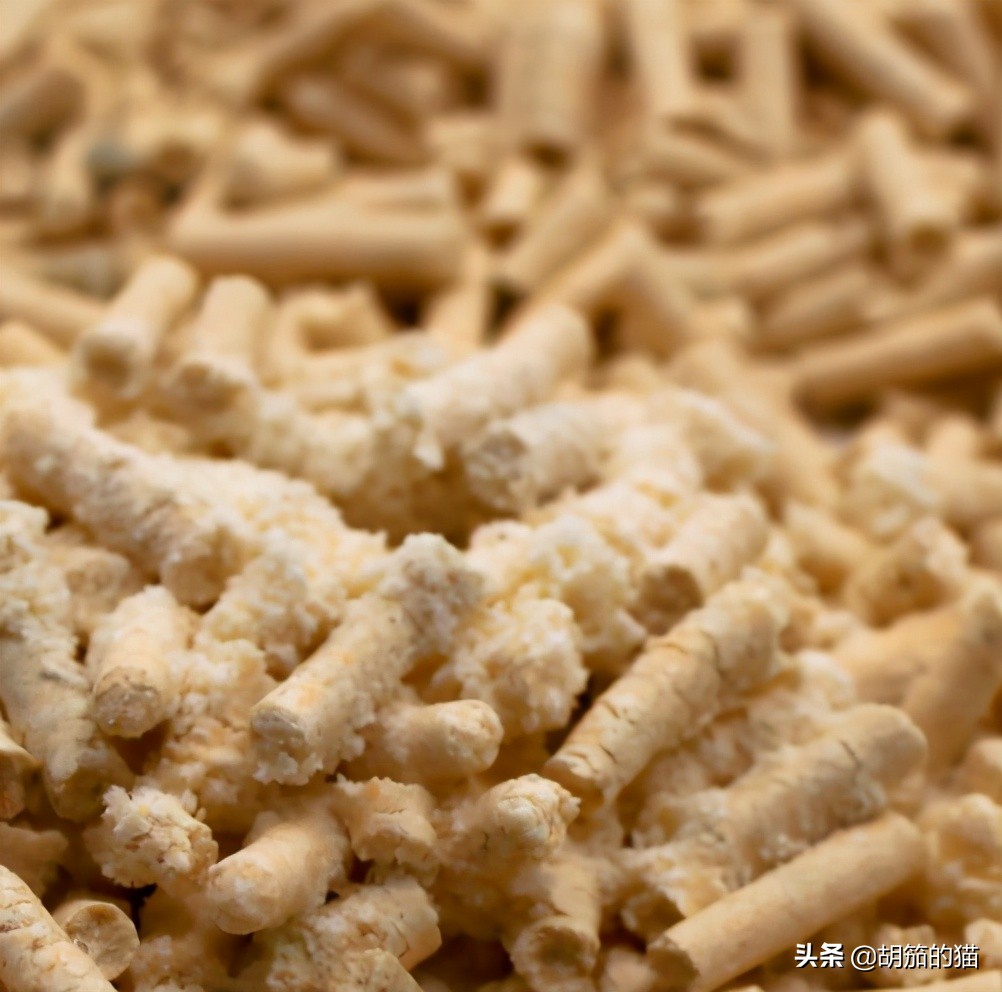 猫突然不在猫砂里尿是咋回事,猫为什么喜欢猫砂盆排泄