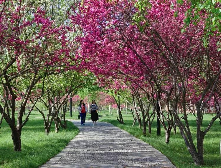 诗歌：我想和你有一场约会