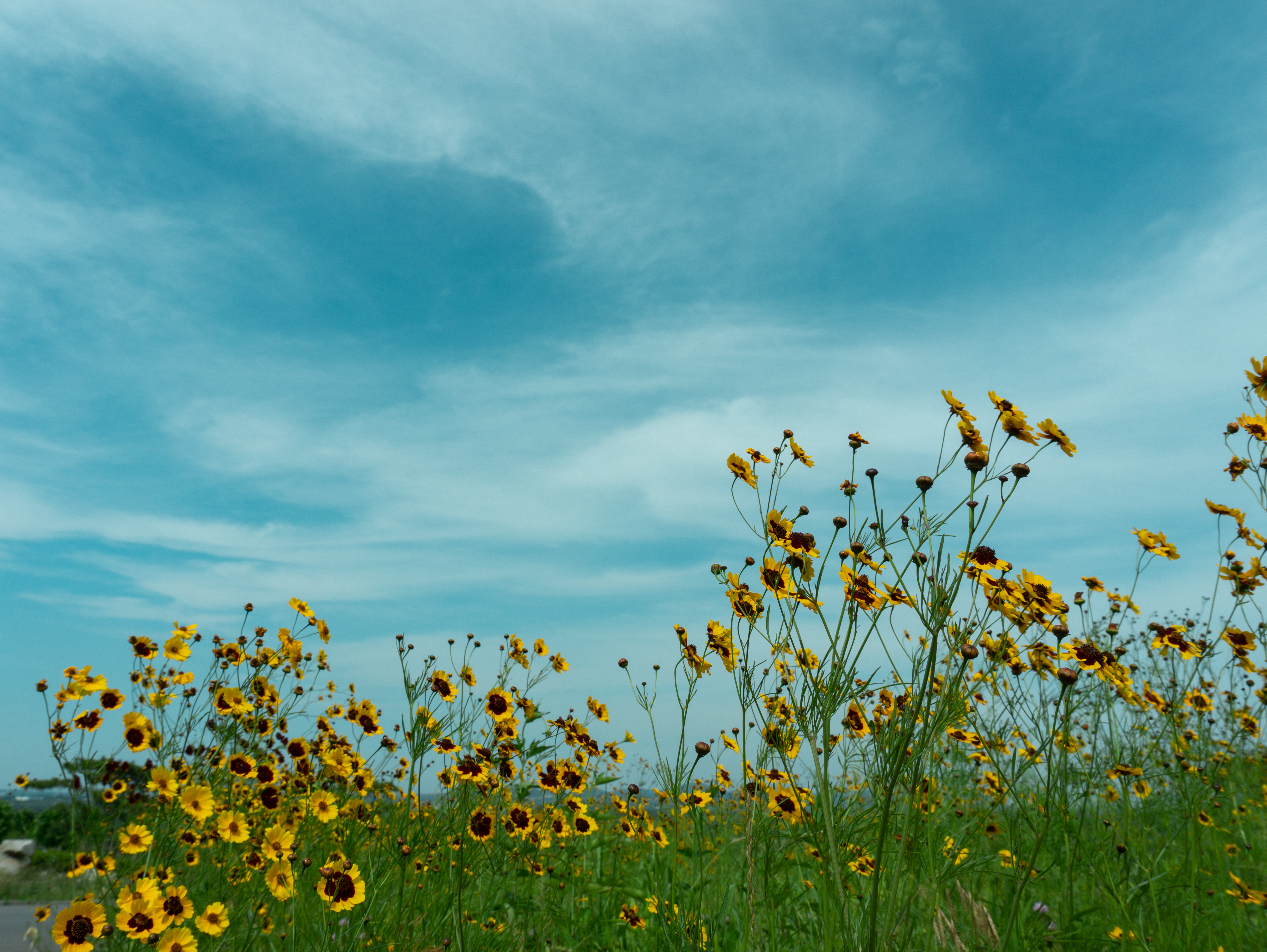 诸城人文地理,山东诸城有什么名胜
