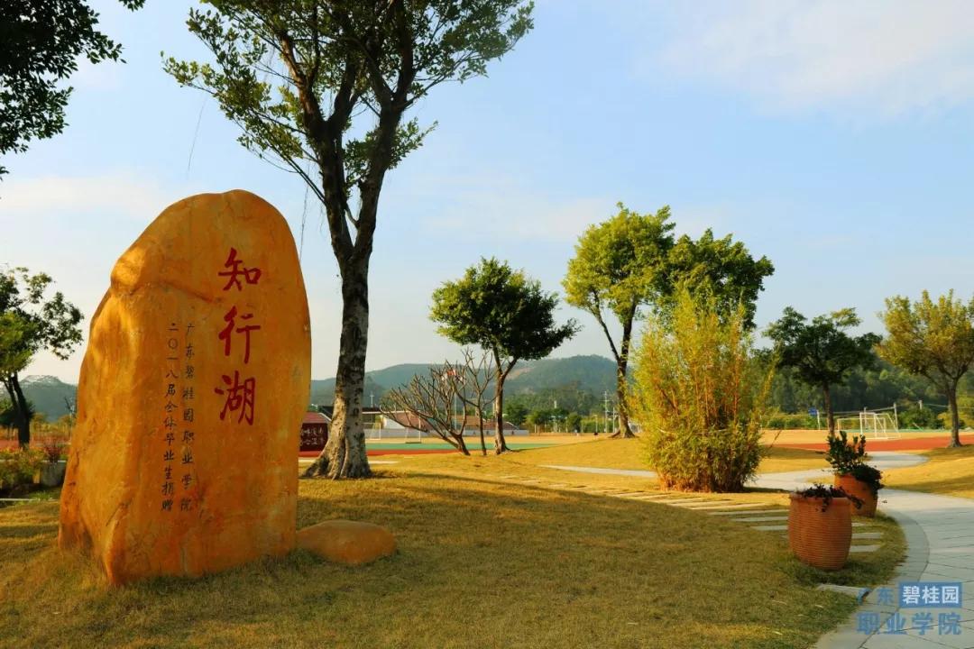 广东碧桂园职业学院有几个校区,广东碧桂园职业学院全免费