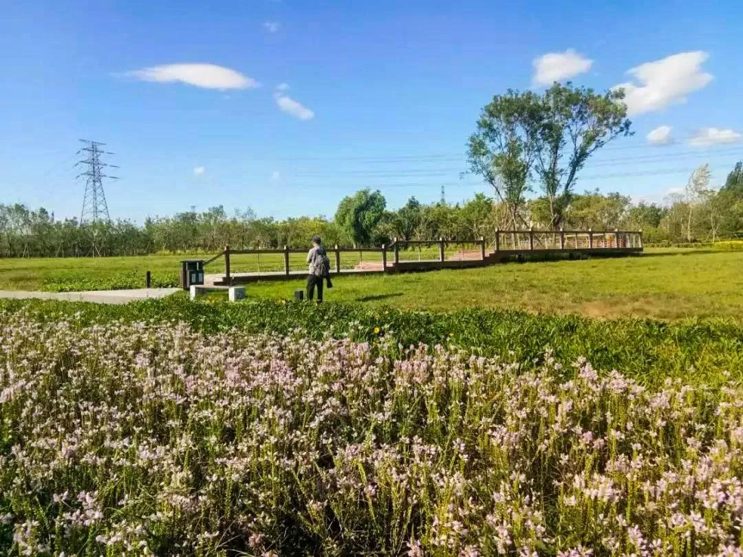 北京人少景美赏秋的公园,北京赏秋中山公园