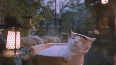 最新广东真温泉官方认证名单,泡假温泉