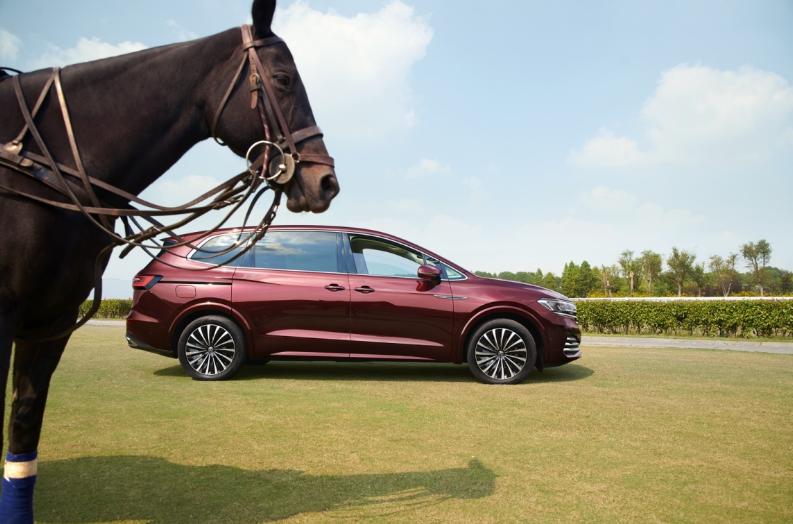 威然为什么叫大v,威然和大v