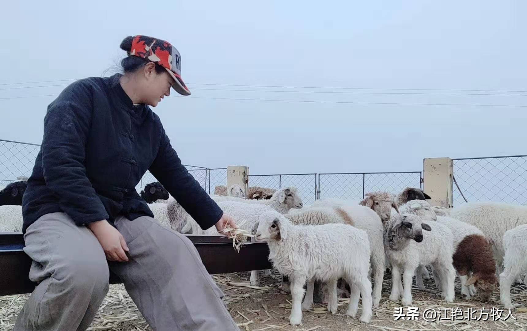 靠养殖到底能不能致富?江艳实话实说,再听听她的致富经