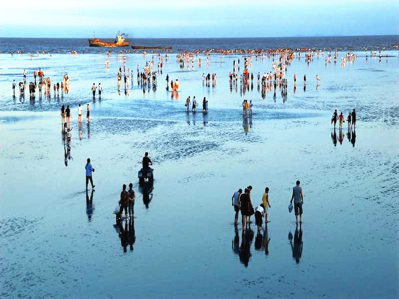 上海有好看的海边景点吗,上海好玩的海滩免费可以赶海