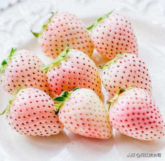 天下美食无奇不有大家有没有吃过,天下美食无奇不有