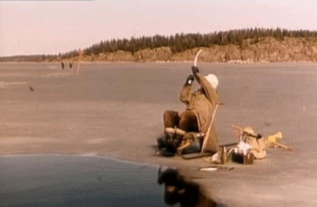 欧洲最“冷”的导演终于出了新作，他的片值得看五遍