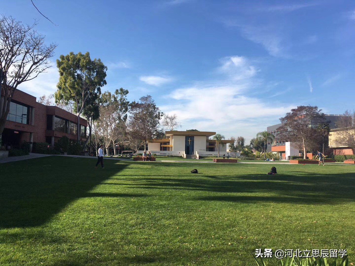 密歇根大学安娜堡分校是一所怎样的大学？