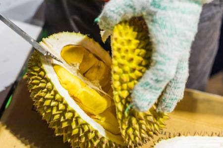 怀孕前三个月可以吃榴莲千层吗,怀孕前三个月能吃榴莲味的面包吗