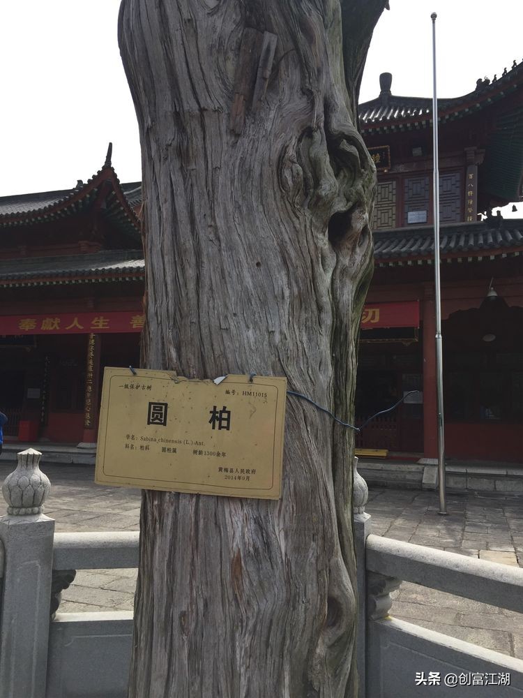 黄梅佛教在中国地位,黄梅禅宗之源