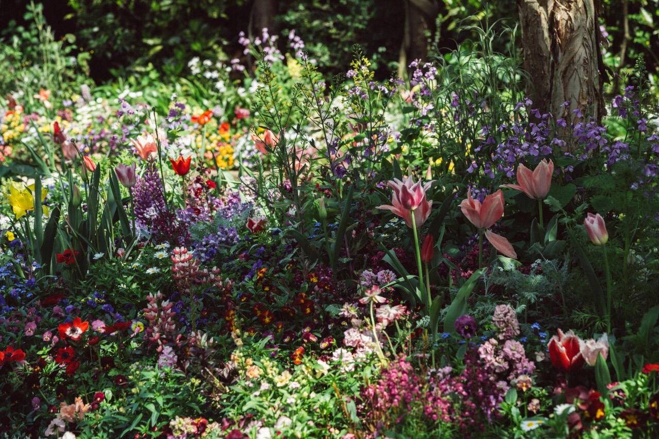 日本高松自由行,日本花火大会自由行攻略