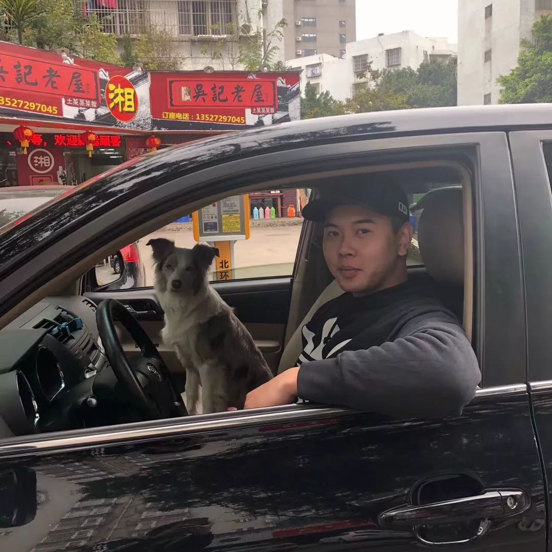 带着狗狗去西藏二狗子,带着十条狗狗去西藏