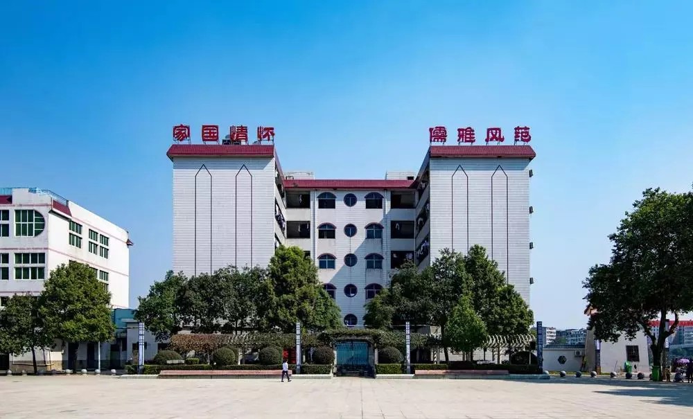 荣誉见证成长足迹,2017年耒阳一中