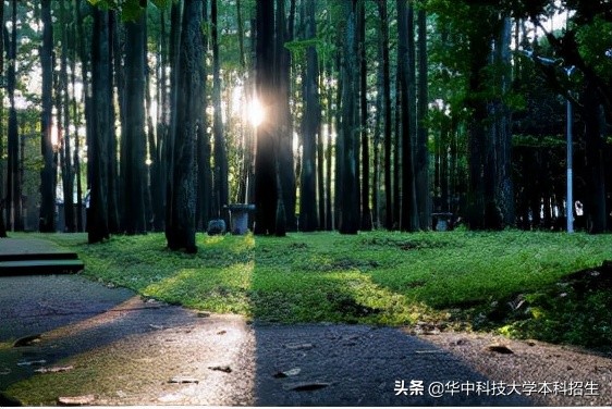 华中科技大学各榜单排名,华中科技大学最新排名