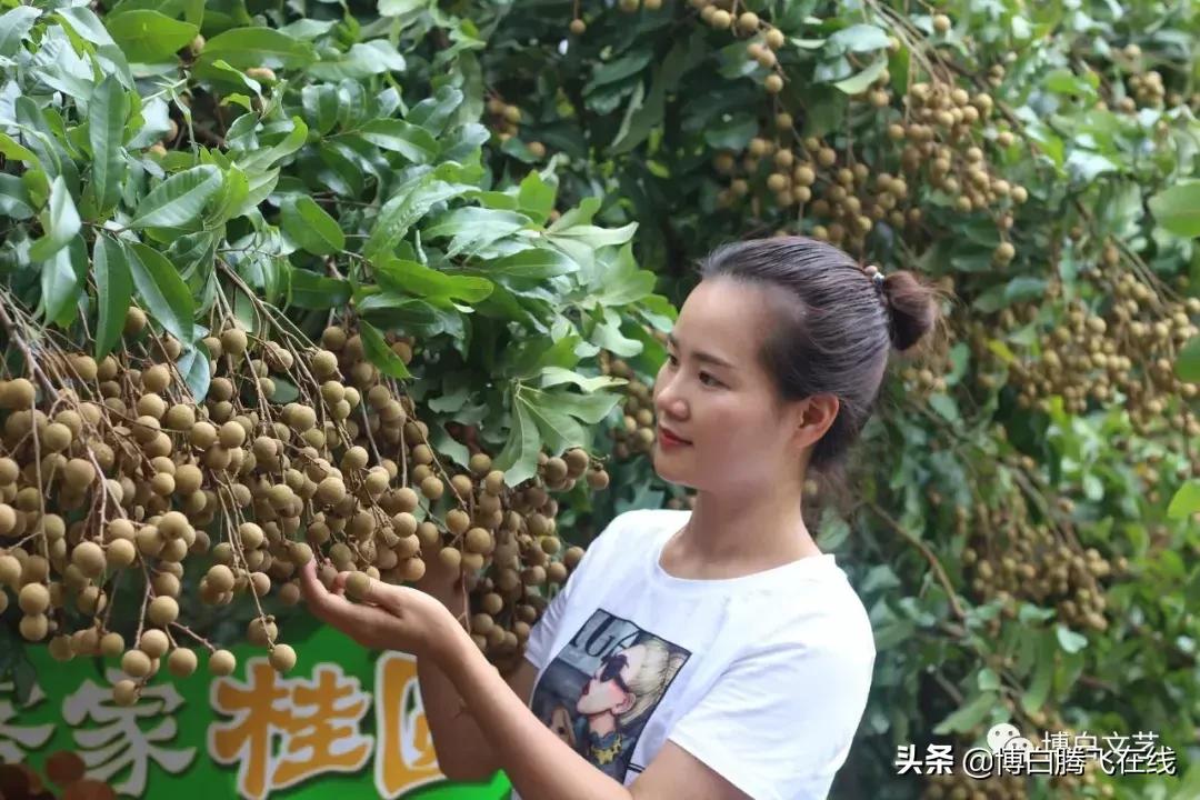 博白客家妹子创立一份“甜蜜”事业，有人还为她作了一首诗……