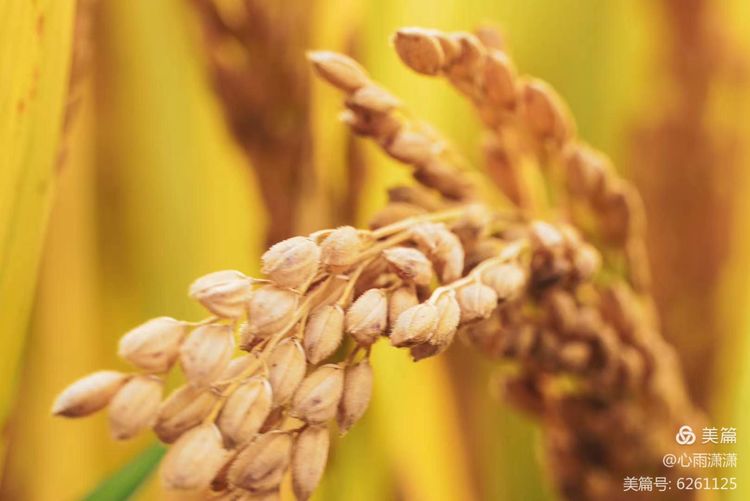 白凡逸志在线阅读,一个韩国人眼里的中国