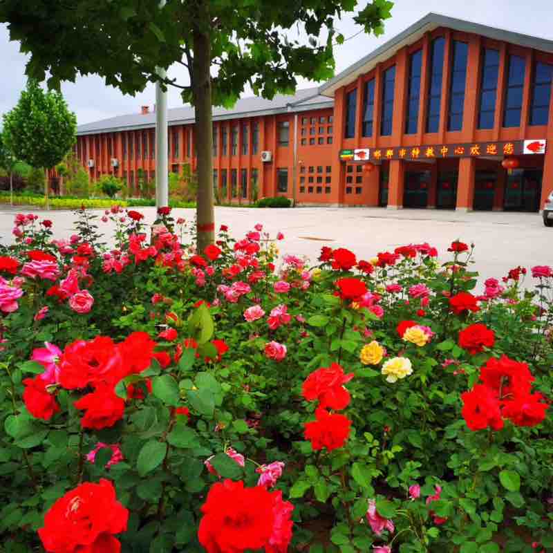 满怀豪情迎接新的一年到来,满怀激情迎接新学期视频