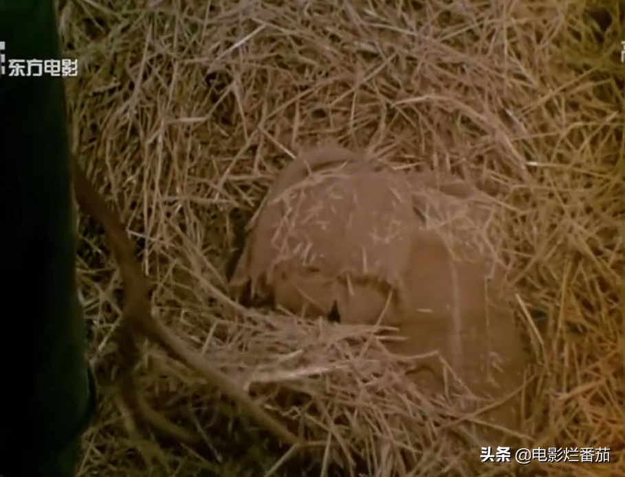 这部34年前的老电影,一部34年前的经典电影