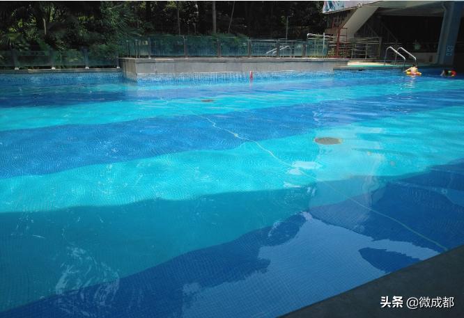 成都现在开放了的游泳池,成都游泳池哪些地方开放了
