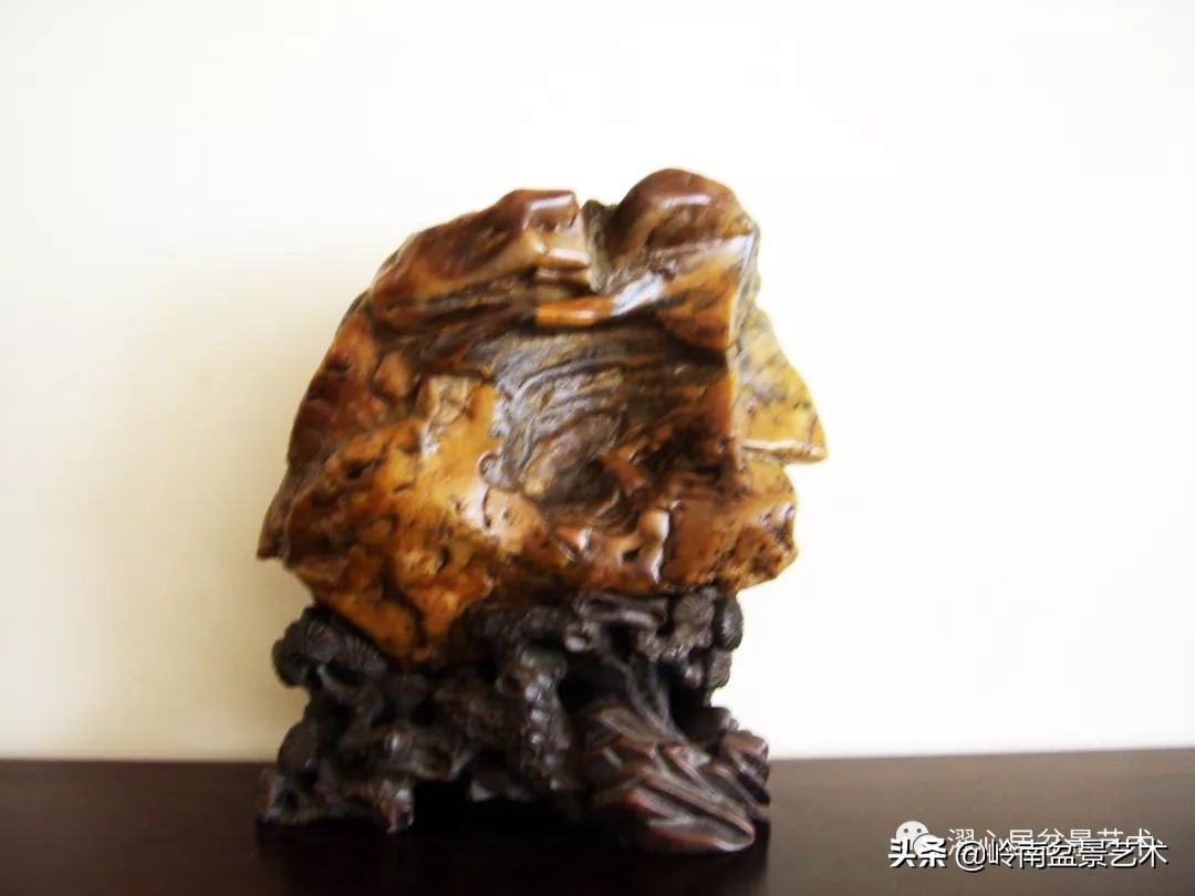 玩树藏石，不亦乐乎！