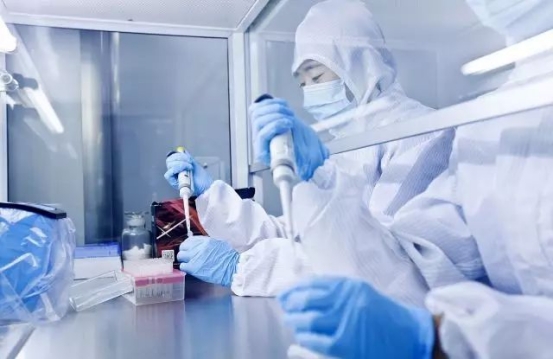 华大基因专业怎么样,华大基因重点领域怎么样